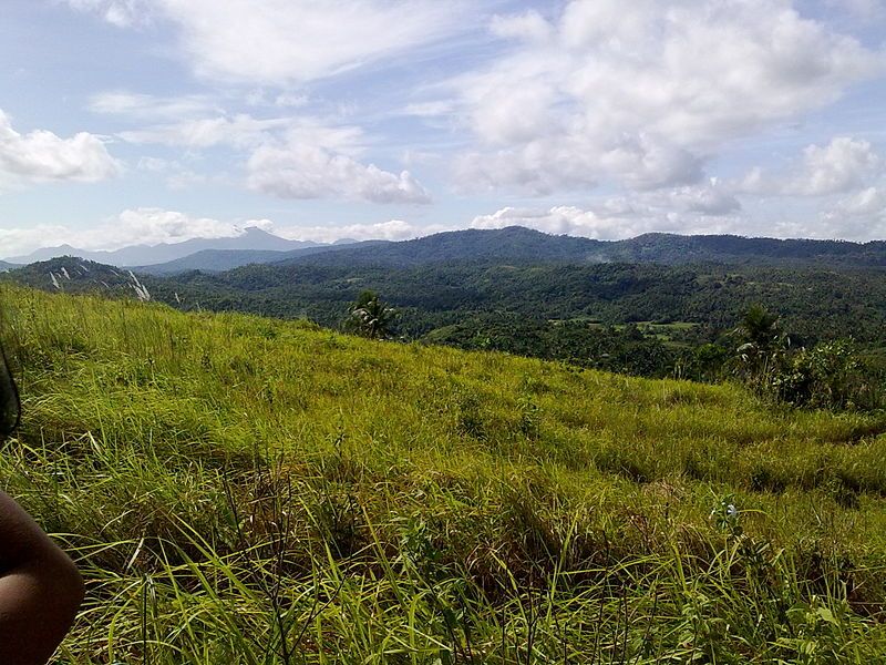 File:Jose Panganiban Hills.jpg