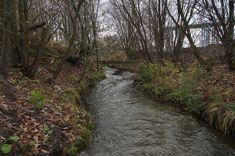 File:Kroodi creek.jpg