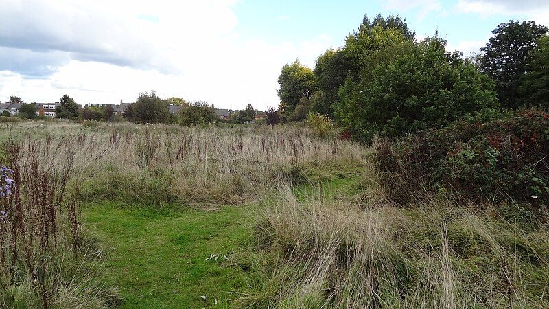 File:Long Lane Pasture.JPG