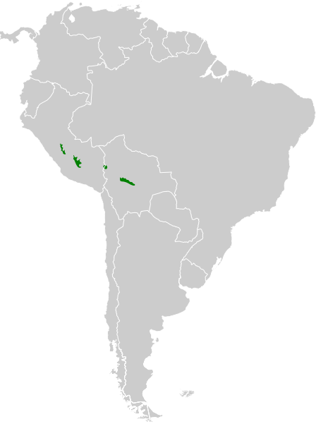 File:Megascops marshalli map.svg