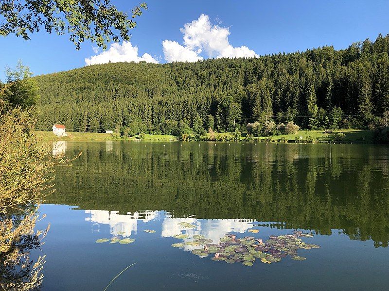 File:Oberdigisheimer Stausee Kohlstatt-Brunnenbach.jpg