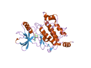 2eva: Structural Basis for the Interaction of TAK1 Kinase with its Activating Protein TAB1