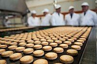 Visit of the Antequera Confectionery Industries of the Sancho Melero Group