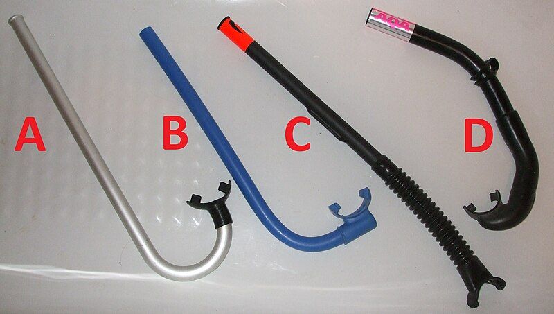 File:Snorkel shapes.jpg