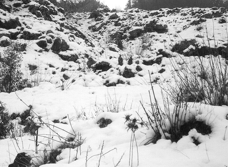 File:Snowy Etna.jpg