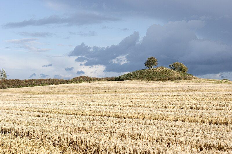 File:Stenhøj.jpg