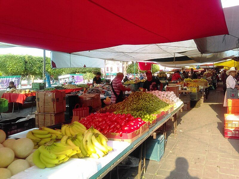 File:Tianguis en Actopan.jpg