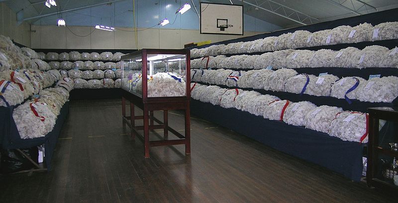 File:Wool display.JPG