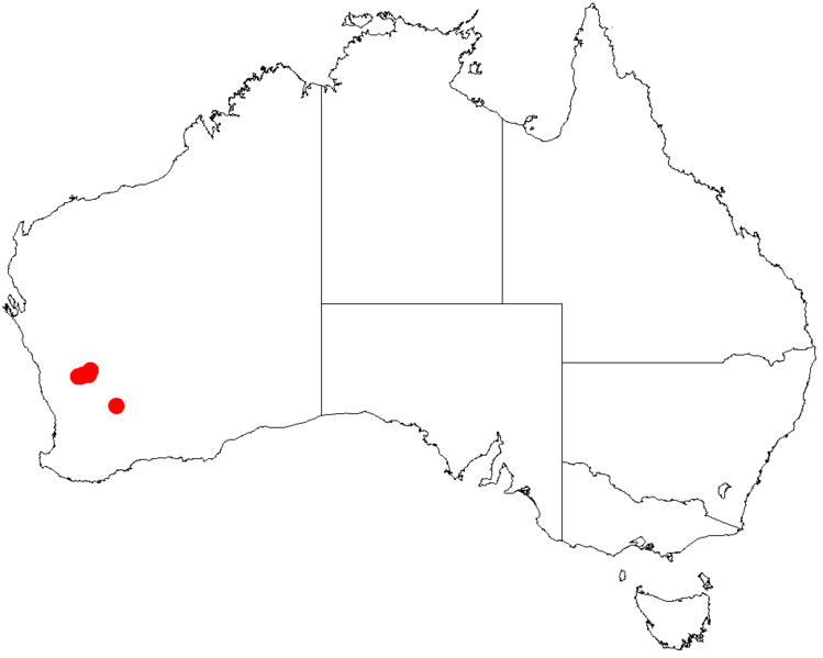 File:Acacia cerastesDistMap175.png