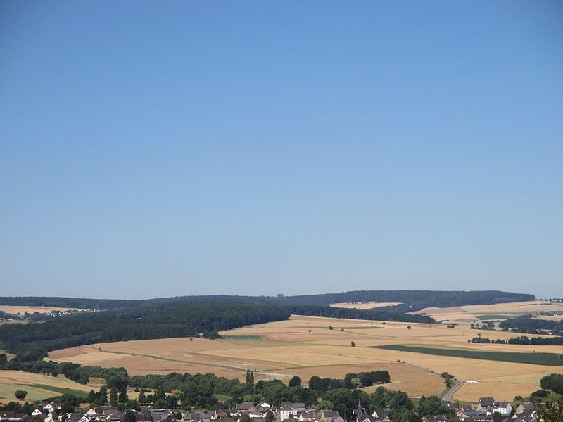 File:Dachsköpfe im Taunus.jpg