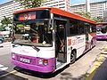 Dennis Dart, SBS Transit (Exterior)