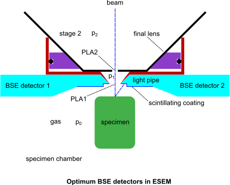 File:ESEM BSE.png