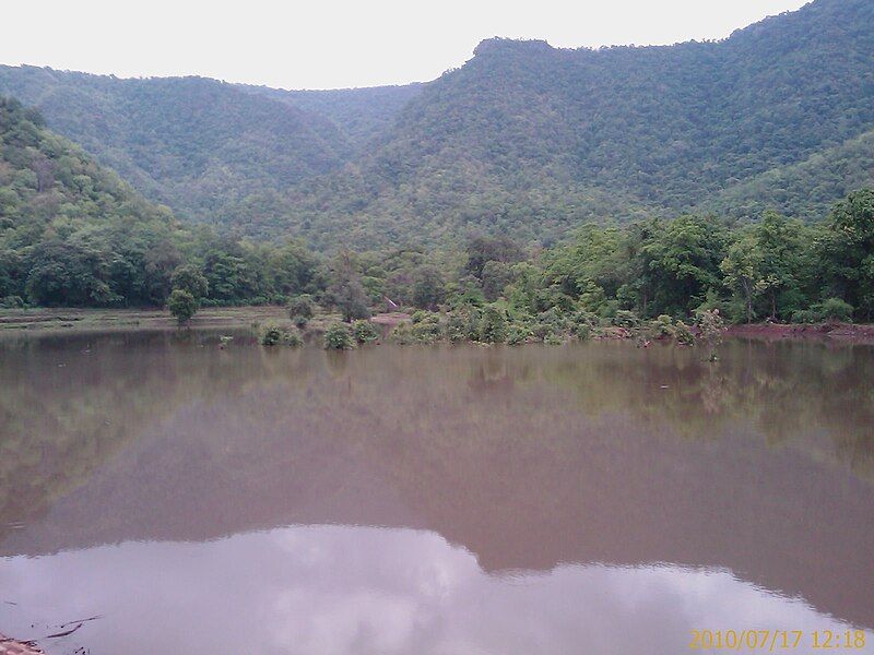 File:Gandhamardan Checkdam 2.jpg