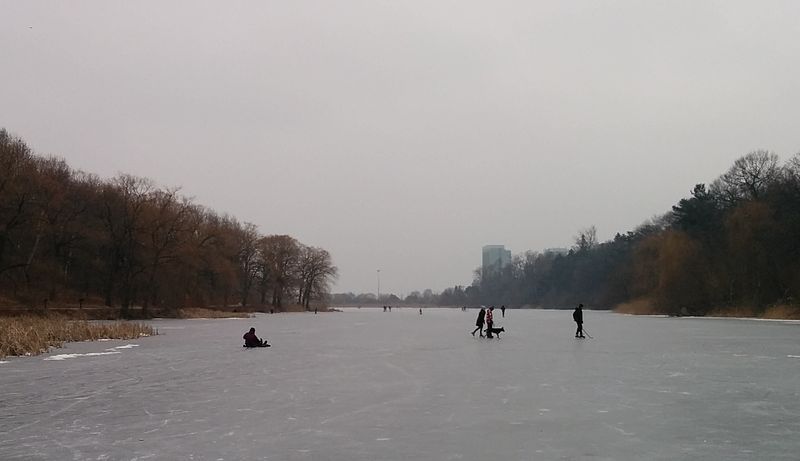 File:GrenadierPondSkaters2015.jpg