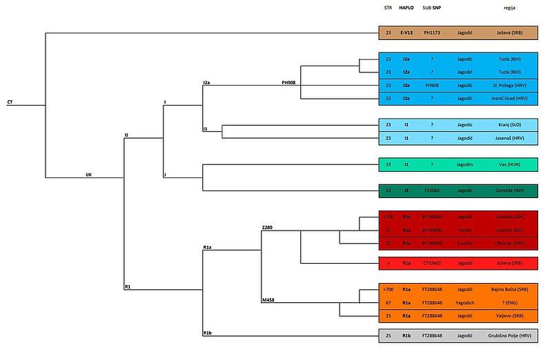 File:Jagodic Family Tree.jpg