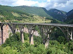 Đurđevića Tara Bridge