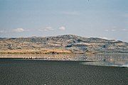 The lake with flamingos