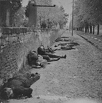 Firing squad victims closeup