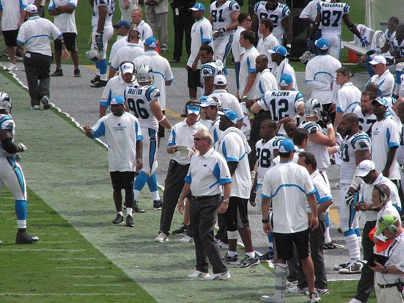 File:Panthers sideline 2008.jpg