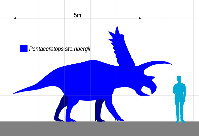 File:Pentaceratops Size.svg