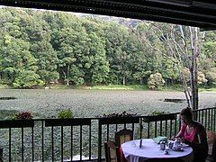 Visitor at Selva Negra Mountain Resort.