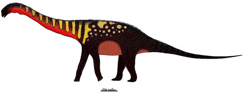 File:Quetecsaurus.jpg