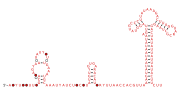 RAGATH-6 Secondary structure taken from the Rfam database. Family RF02686