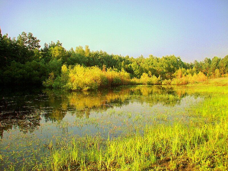 File:Sadykierz Lake.jpg