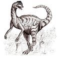 Dilophosaurus. The arms are too long and the tail is too flexed.