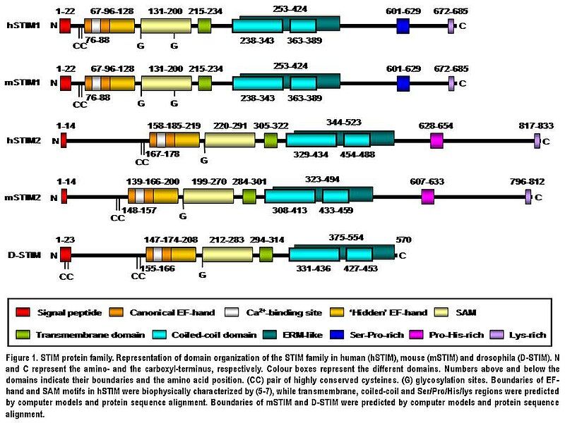 File:Stim familly wiki.jpg