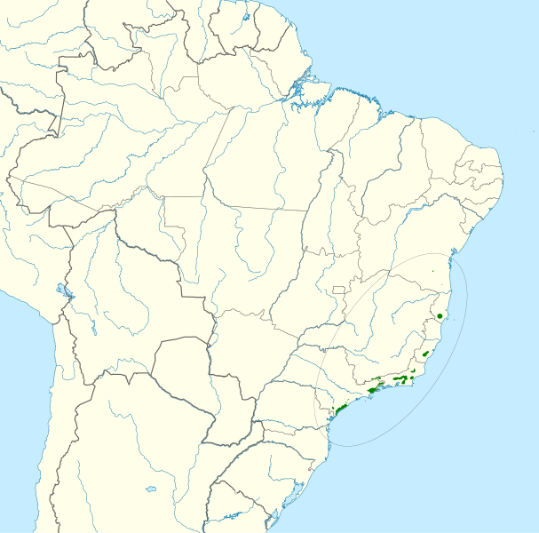 File:Touit melanonotus map.svg