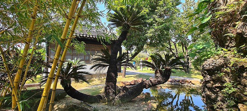 File:Zhanyuan giant cycad.jpg