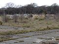 Saleyards land and rear of the saleyards building.