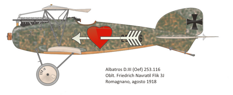 File:AlbatrosDIII Navratil.png