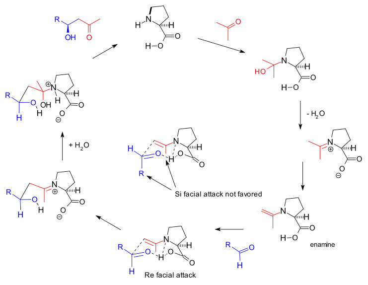 File:AldolMechanismList2000.svg