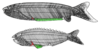 Pharyngolepis sp. & Rhyncholepis sp.