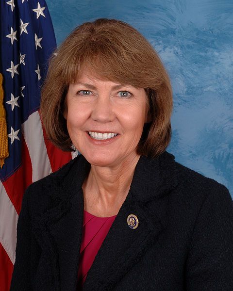 File:Ann Kirkpatrick.jpg