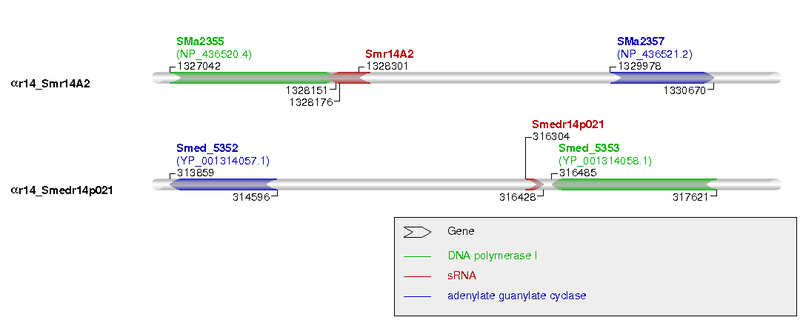 File:Ar14 11.png