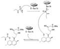 Biosynthesis using broadly specific acyltransferase