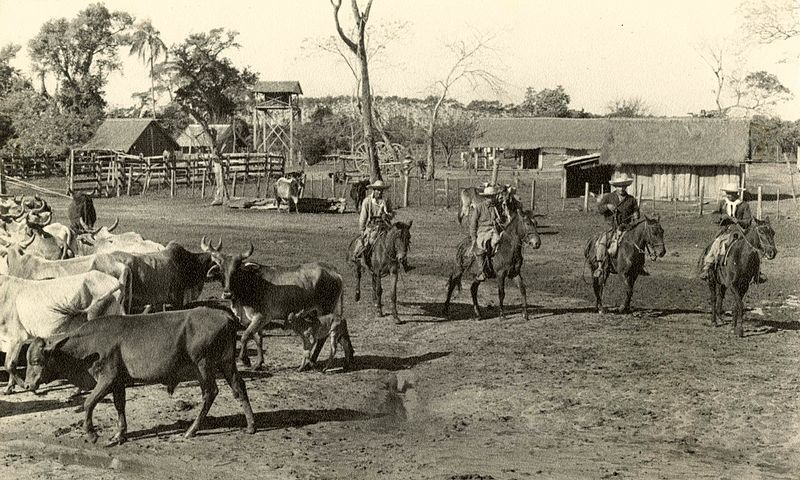 File:Bruderhof in Paraguay.jpg