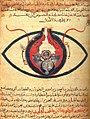 Image 1The eye according to Hunayn ibn Ishaq, c. 1200 (from Science in the medieval Islamic world)