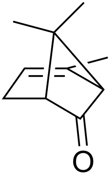 File:Chrysanthenone.png