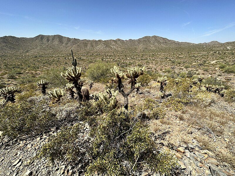 File:Gila Bend Mountains.jpg