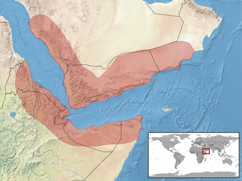 File:Hemidactylus yerburii distribution.png