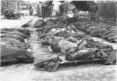 Bodies of massacre victims gathered near Waegwan, South Korea, many with their hands still bound