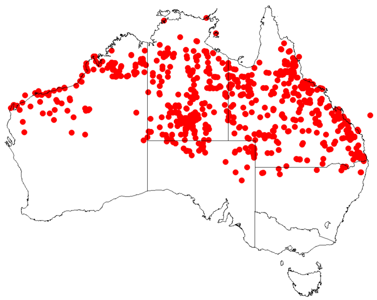 File:Indigofera linnaeiDistMap37.png