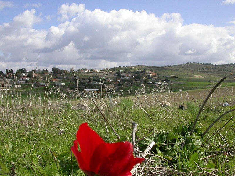 File:Kfar Uria.JPG