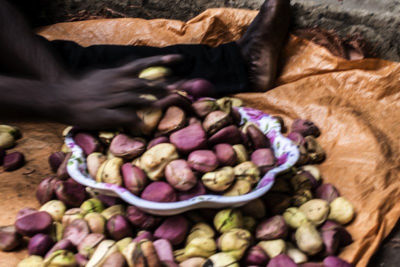 File:Kola nut.jpg