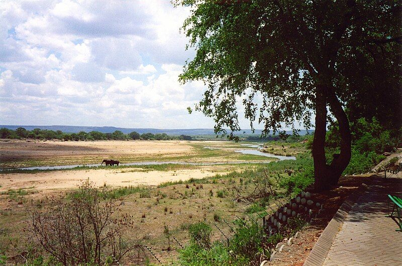 File:Letaba (224759680).jpg