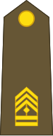 File:Luxembourg-Army-OR-9b.svg